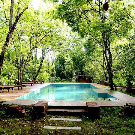 Mahagedara Wellness Retreat Hotel Avudangawa Exterior photo
